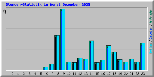 Stunden-Statistik im Monat Dezember 2025